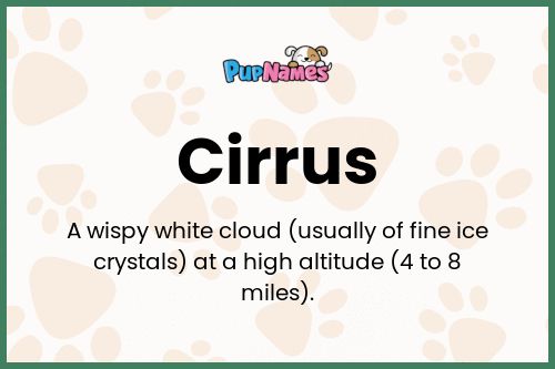 Cirrus dog name meaning