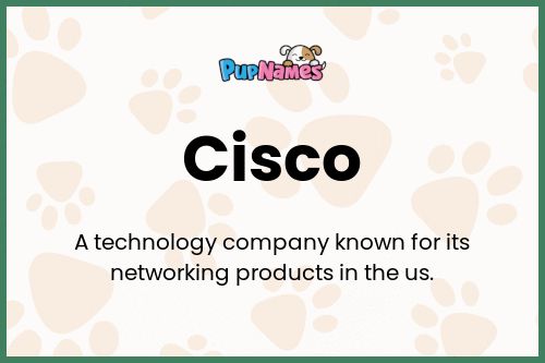 Cisco dog name meaning