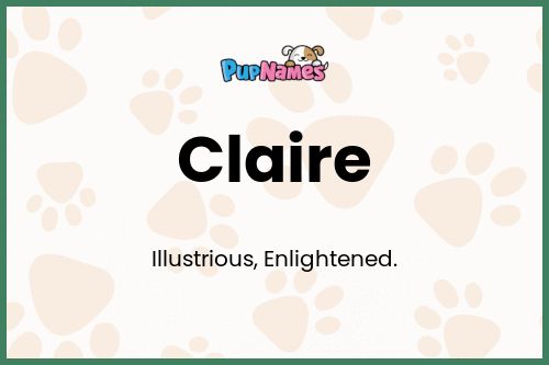 Claire dog name meaning