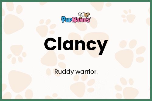 Clancy dog name meaning