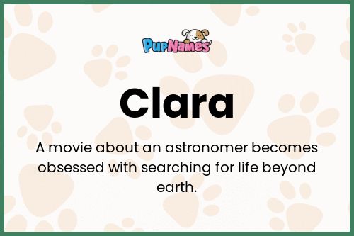 Clara dog name meaning