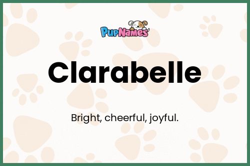 Clarabelle dog name meaning