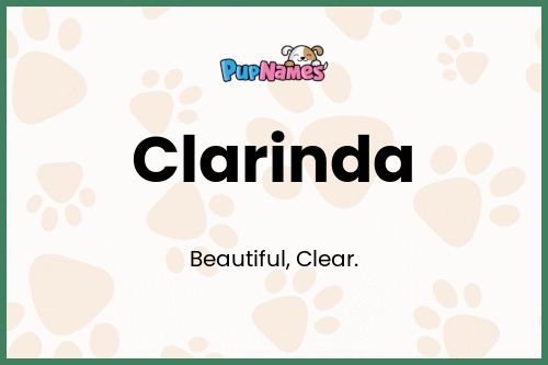 Clarinda dog name meaning