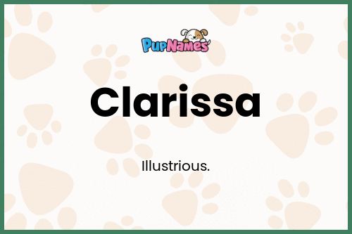 Clarissa dog name meaning