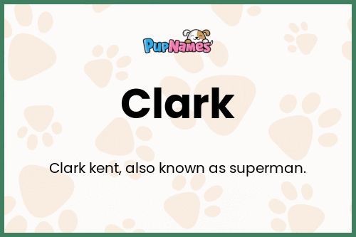 Clark dog name meaning