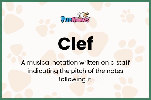 Clef dog name meaning