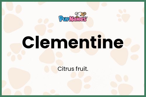 Clementine dog name meaning