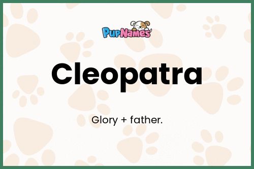 Cleopatra dog name meaning