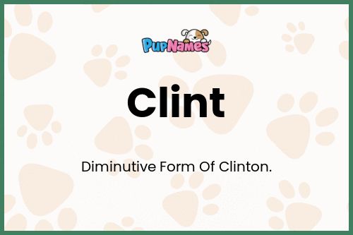 Clint dog name meaning