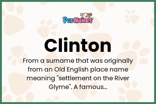 Clinton dog name meaning