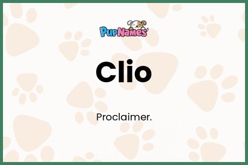 Clio dog name meaning