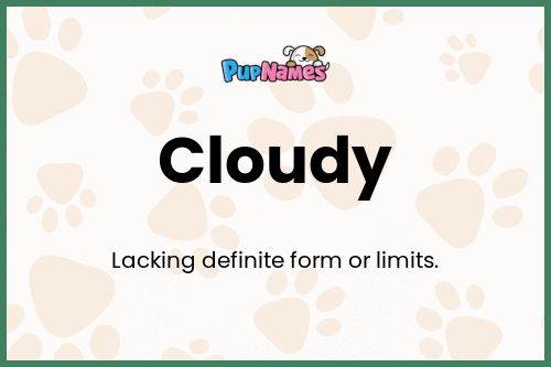 Cloudy dog name meaning