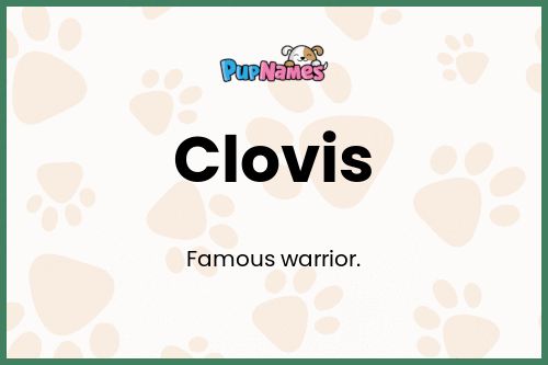 Clovis dog name meaning