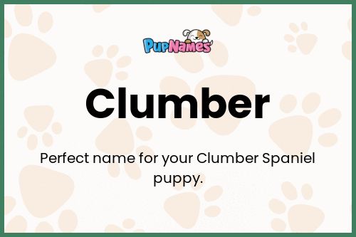 Clumber dog name meaning