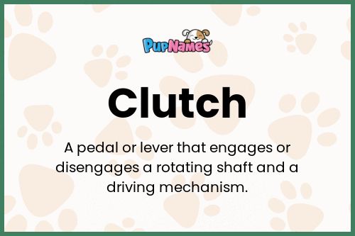 Clutch dog name meaning