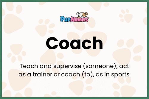 Coach dog name meaning