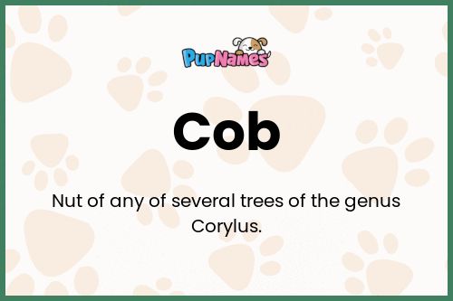 Cob dog name meaning