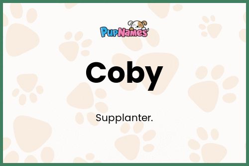 Coby dog name meaning