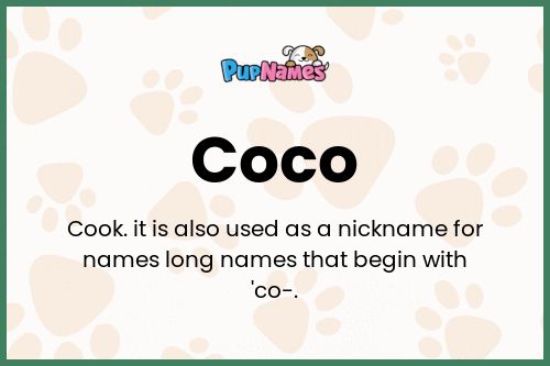 Coco dog name meaning