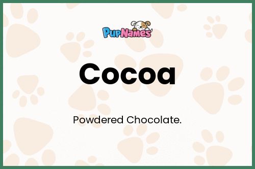 Cocoa dog name meaning