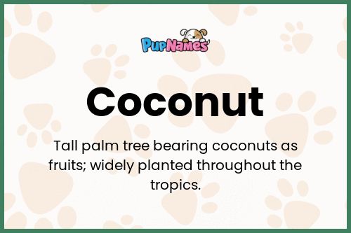 Coconut dog name meaning