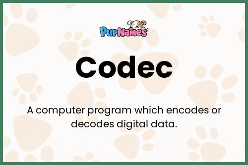 Codec dog name meaning