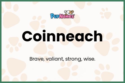 Coinneach dog name meaning