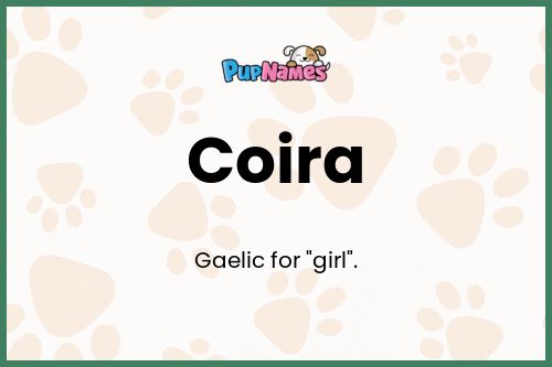 Coira dog name meaning