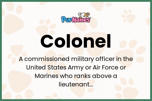 Colonel dog name meaning