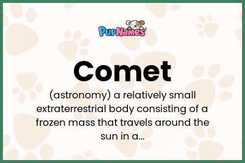 Comet dog name meaning