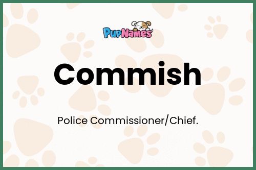 Commish dog name meaning