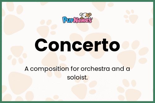 Concerto dog name meaning