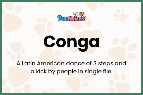 Conga dog name meaning