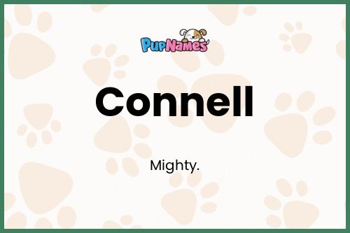 Connell dog name meaning