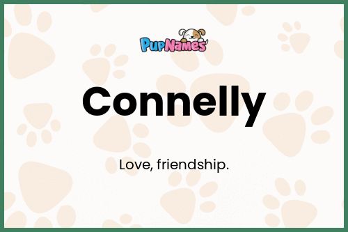 Connelly dog name meaning