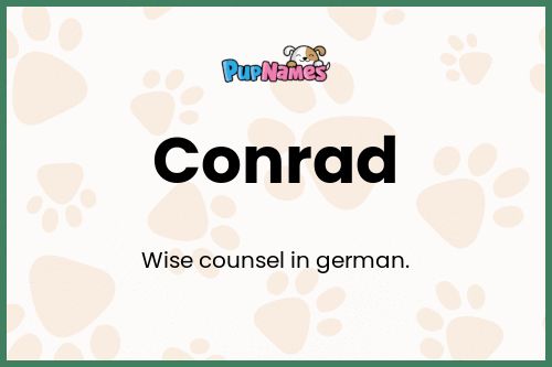 Conrad dog name meaning