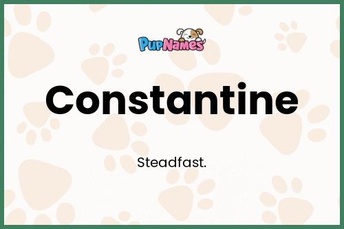 Constantine dog name meaning