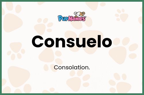 Consuelo dog name meaning