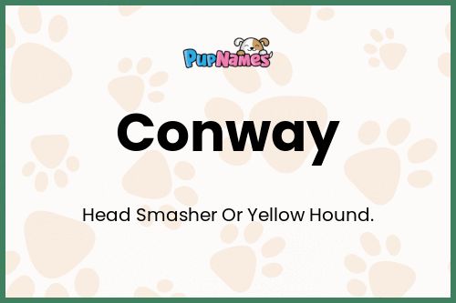 Conway dog name meaning