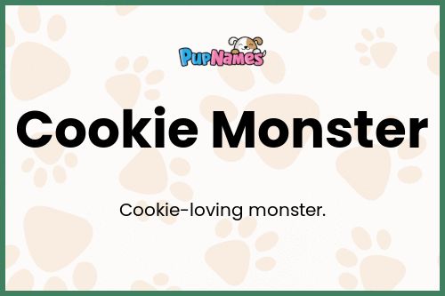 Cookie Monster dog name meaning