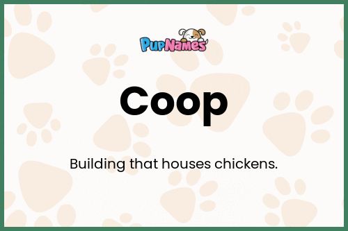 Coop dog name meaning