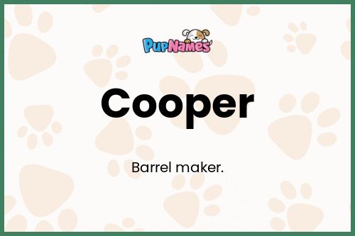 Cooper dog name meaning