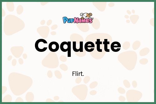 Coquette dog name meaning