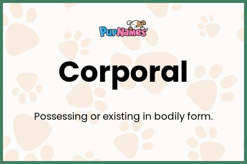 Corporal dog name meaning