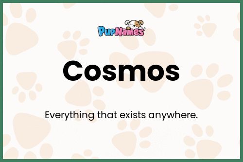 Cosmos dog name meaning