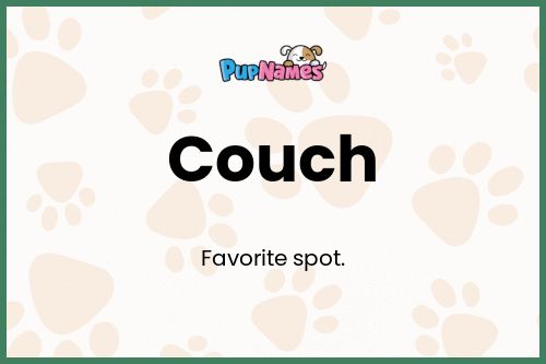 Couch dog name meaning