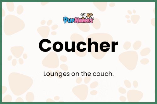 Coucher dog name meaning