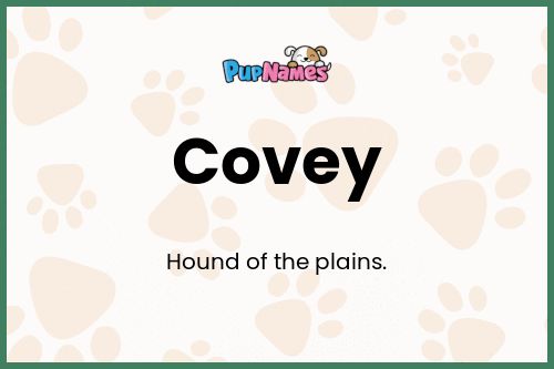 Covey dog name meaning