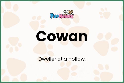 Cowan dog name meaning