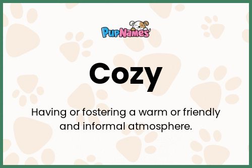 Cozy dog name meaning